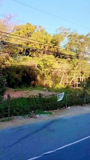 5.8K views · 381 reactions | Onwards northwards | The Cocky Rocky | Facebook