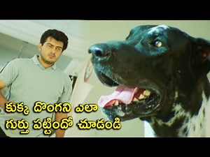 కుక్క దొంగని ఎలా గుర్తు పట్టిందో చూడండి | Dharma Yuddham Movie | Latest Telugu Scenes