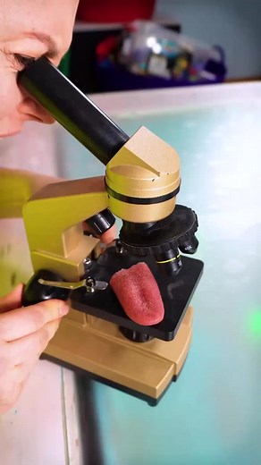 Pizza or 2 Pizza❓ #reels | Back For You One Direction