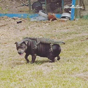 Is there something on my back? | Try Not to Laugh