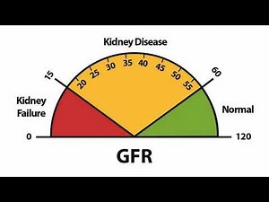 What Is A Good GFR Level