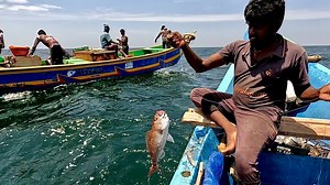57K views · 350 reactions | Hand Line Fishing at 300 Feet Deep Sea #fishing #fishingvideos #fishingtime | Neerulagam | Facebook