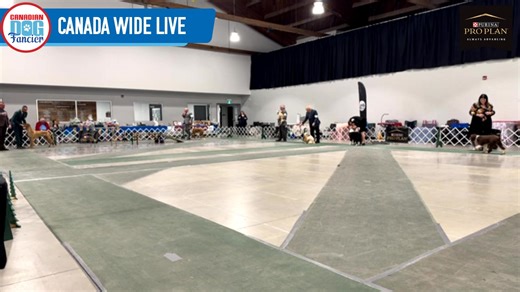 Olde York - Jason Hoke