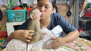 3.5K views · 95 reactions | Hilarious Lil DAM Happy Playing Flowing Air With Mom During Change Diaper | Pigtail Monkey Daily | Facebook