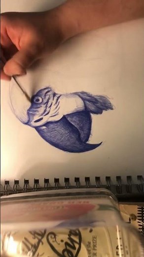 Snake Discovery Cheyenne. #pets #animals #usark #reptiles #art #pet #shorts