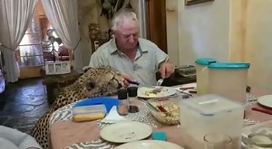 Lekker eet saam ‘n jagluiperd nogal ❤️ Ontvang via Whatsapp, eienaar kontak asb Admin vir erkenning ! | Bloem Jagters/Hunters