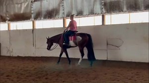 APHA ALL AROUND Handsome 2018 bay overo gelding by Its A Southern Thing out of A Scenic Impulse mare. Has shown lightly PtHA and Open but eligible APHA Green everything! Ready for a top youth or amateur to hit the ring in Pleasure, HMS, HUS, EQ, SMS and Trail. Sweet, sound, steady and no spook. Should vet well. For more information and videos please visit www.whittingtonequine.com | Whittington Equine Marketing Group | Facebook