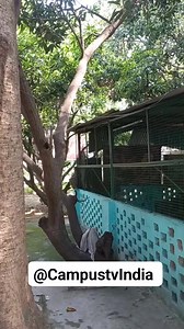 Peer BABA ji Panjab University, Chandigarh #peerbabaji #panjab #panjabuniversity #panjabuniversitychandigarh #hostel #puhostellife #thursday #puspecial #stucpu | Campus Tv India