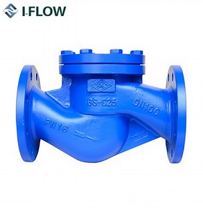 [Hot Item] Size DN15-DN400 H41h DIN Standard Cast Steel Lift Type Check Valve