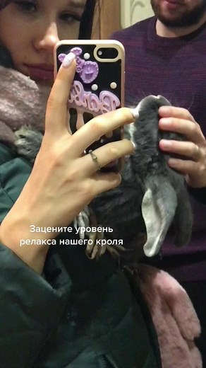 Anna Kurasova (@anya_meo_)’s videos with kiskis - zhanulka