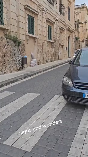 What is this? #reels #eel #strangerthings #creature #strange #hole #fbreels #asia #africa #uganda | Signs and wonders