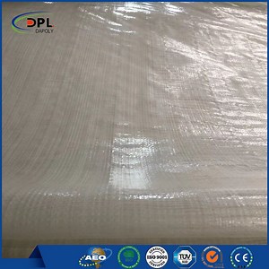 [Hot Item] PE Tarpaulin 100% Virgin PE Tarpaulin Plastic Waterproof Heavy Duty PE Tarps Hot for Sale