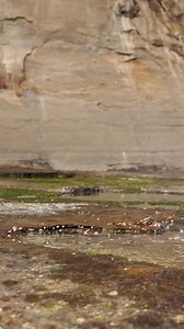 The Elements Wetsuit Bag is the ultimate surf trip companion. Made...