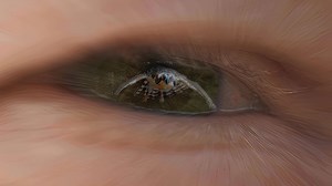 Scientist Alan Lightman, alone on the ocean, feels a connection to the stars and experiences an eye-to-eye encounter with a wild creature. Now streaming: "Searching: Our Quest for Meaning in the Age of Science - The Stars & The Osprey" - https://bit.ly/3M3XAgV (Part 1 of 3) #SearchingForMeaningTV #Science #Documentary #BigQuestions #AlanLightman | Thirteen WNET New York