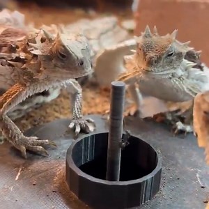 24K views · 253 reactions | His face says it all 年 | Alien UFO Sightings | Facebook