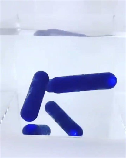 plusOne Waterproof Bullet Vibrators