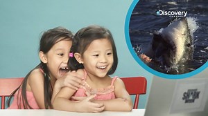 219K views · 213 shares | Watch these kids get up close and personal with sharks! Shark Week starts tonight at 9PM(SEA/MY), 8PM(BKK/JKT) and 8.10PM(MNL) only on Discovery Channel! #DiscoverySEA #SharkWeek | Discovery Channel Southeast Asia | Facebook