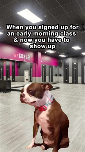 Yesterday me was too ambitious for today me😩 #crunchfitness #groupfitness #gymhumor | Crunch Fitness