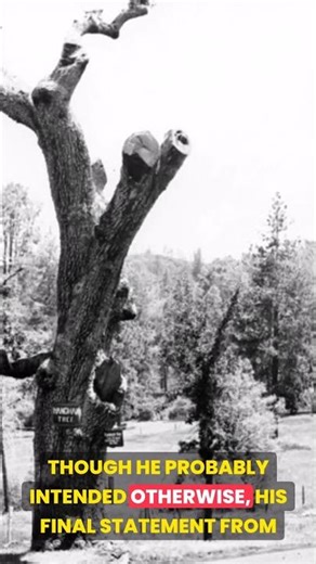 Hanged Man Has Something Interesting To Tell