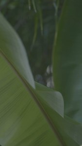 Hideaway Beach Resort & Spa Maldives on Reels | Facebook