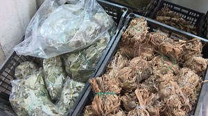 TV Azteca Durango on Reels