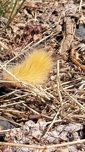 Brian Stone on Reels