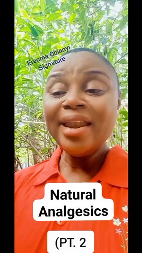 Natural Analgesics - Jatropha Curcas. (PT.2) #oralhealth #healthcare #health #herbs #analgesic | Healthy Living - Fight Back With Food