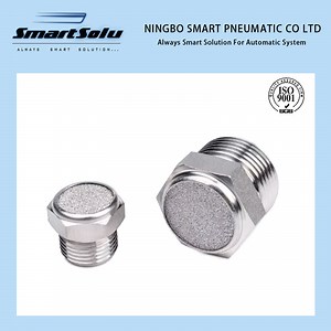 [Hot Item] Bty-V Bslm Type Pneumatic Air Stainless Steel Muffle with Various Sizes