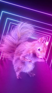 4.4K views | Easy Comp: Easily composite elements into your footage with automatic color matching to ensure seamless, natural-looking results. | aescripts | Facebook