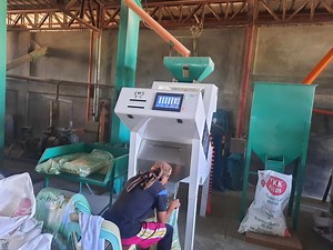 [Hot Item] Nigerian Parboiled Rice Color Sorter Machine for Black Spots Optical Sorting Machine