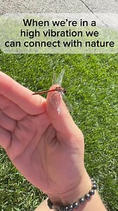 Japanese Garden | Princess Athena