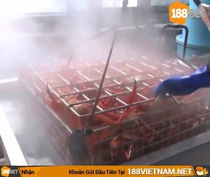 Mãn nhãn trước màn đánh bắt và chế biến cua Hoàng Đế ở Nhật 😲😲😲😱😱😱 | Chuyện Lạ Đó Đây