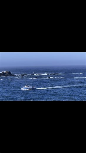 Happy Friday and have a wonderful weekend❣️ #Visitfortbragg Visit Mendocino County | Hidden Pines RV Resort and Campground