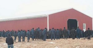 Hundreds of Amish men move barn using only their hands in an impressive show of teamwork