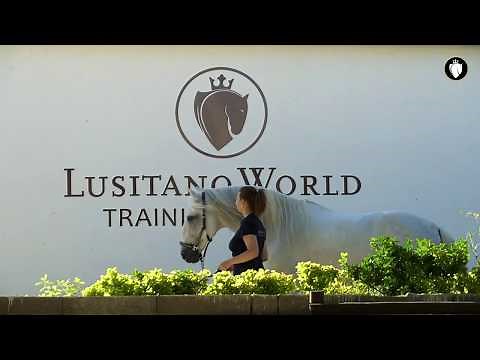 Lusitano World Training Center