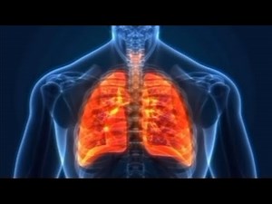 Respiratory Examination