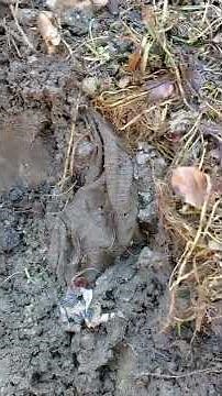 sump pump discharge pipe frozen