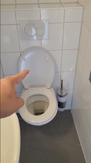 German Toilets Explained: No Splash, No Clogs, Just Genius Engineering!