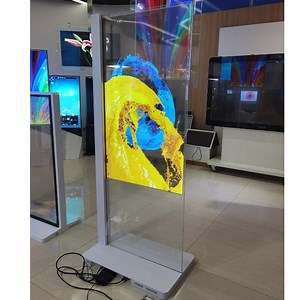 [Hot Item] 55inch LG Digital Signage OLED Showcase for High-End Exhibition