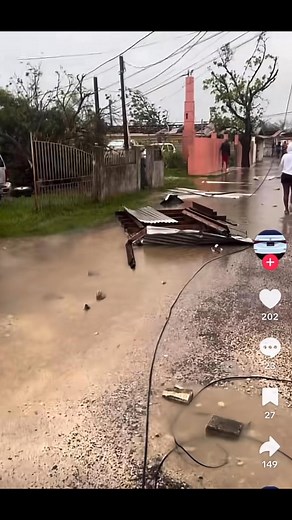 Hurricane Melissa destroyed westmoreland jamaica #hurricaneseason #JamaicaStrong | Wah Gwaan News