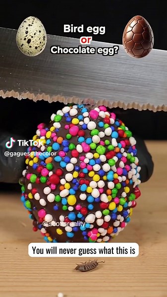 You will never guess what this is #guess #quiz #whichcoloryouchoose #guessthecolor #gaguessthecolor