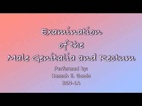 Examination of the Male Genitalia and Rectum