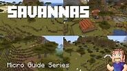 Savanna - Minecraft Micro Guide