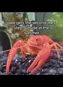 Pale Girl in Summer: Burned After Stepping Outside