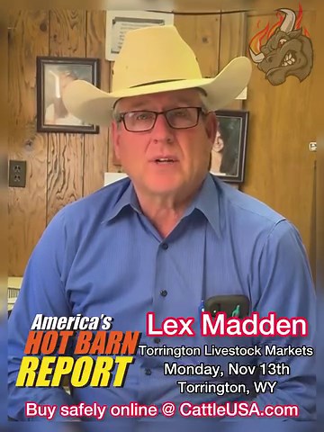 Join Lex at Torrington Livestock Markets this Monday the 13th for a huge bred cow and heifer sale. 9Am for the weight ups, 12 o clock the breds start! If you can’t be there, but safely online at CattleUSA.com 🇺🇸 #hotbarnreport #cattleusa #usabeef #sellatauction #salebarn #cattle #truepricediscovery #ranchers #livestock | Hot Barn Report