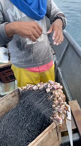 23K views · 652 reactions | Pesca con espinel artesanal en alta mar  | Pesca de profundidad en alta mar | Facebook