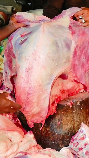 Amazing Piece Of Sina Meat Cutting #cookingchannel #cookiesofinstagram #foodprocessor #reels #kitchenlife #meatlovers #beeflover #meatmarket Fresh Meat Cutting | Meat And Food Lovers