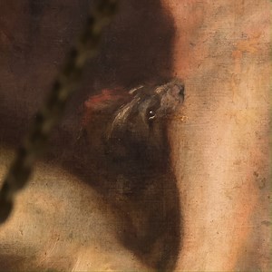 5.5K views · 257 reactions | Rubens’ magnificent ceiling of The...