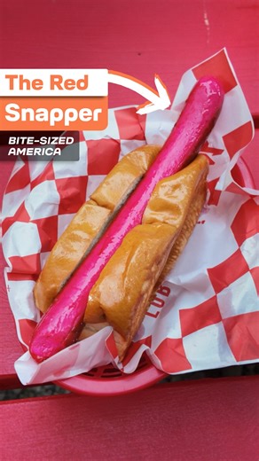 🌊🐟 Maine’s red snappers aren’t seafood. They’re bright-red hot dogs that have been a local obsession for over a century. Would you try one? 🌭❤️ #maine #redsnapper #foodhistory #americanfood #regionalfood #hotdog | Amazing America TV