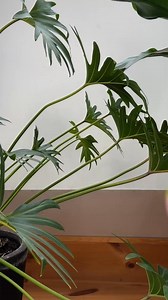 These mugs are anything but ordinary ☕🌈💗 https://flyingtiger.com/collections/mugs-ceramics #Mugs #FlyingTigerCopenhagen | Flying Tiger Copenhagen